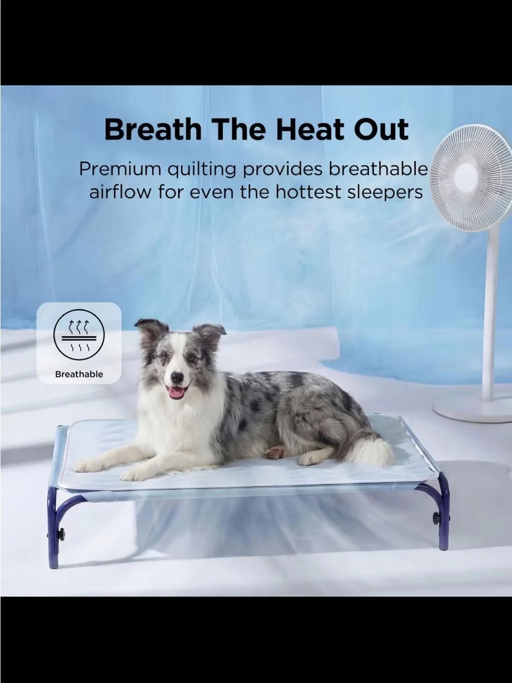 LARGE SIZE COOLING PADS! FOR PETS ❄️🧊